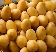 منتج